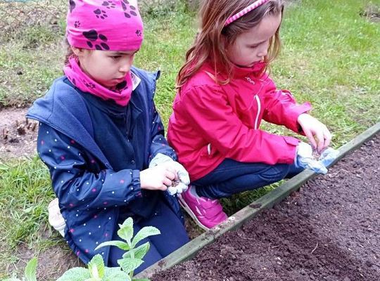 GR IV Zakładamy ogródek warzywny