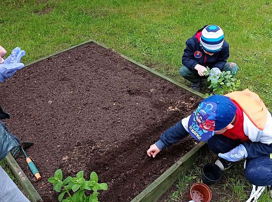 GR IV Zakładamy ogródek warzywny