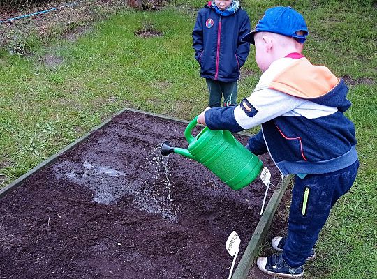 GR IV Zakładamy ogródek warzywny
