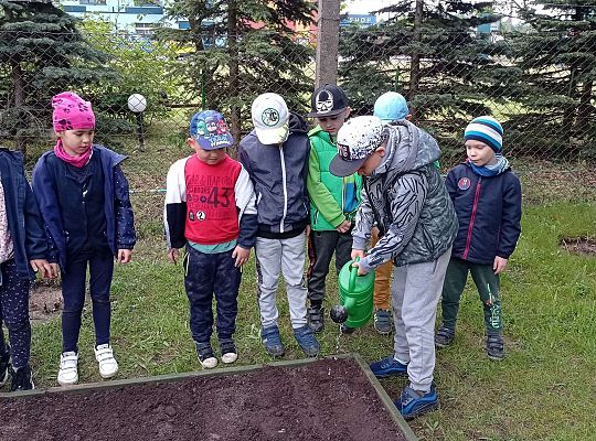GR IV Zakładamy ogródek warzywny