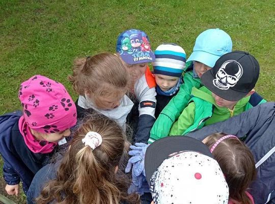 GR IV Zakładamy ogródek warzywny