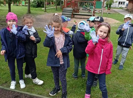 GR IV Zakładamy ogródek warzywny