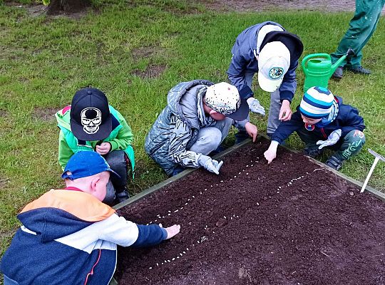 GR IV Zakładamy ogródek warzywny