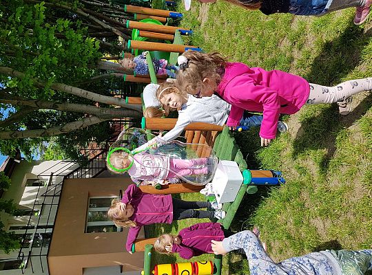 Grupa II - Dzień Dziecka