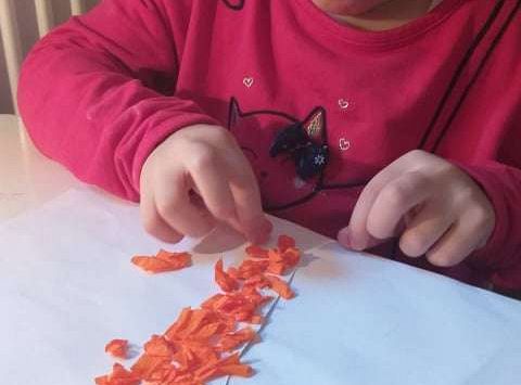 GR I Fotorelacja z pracy w domu