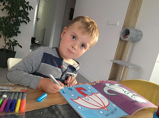 GR II Fotorelacja z pracy w domku