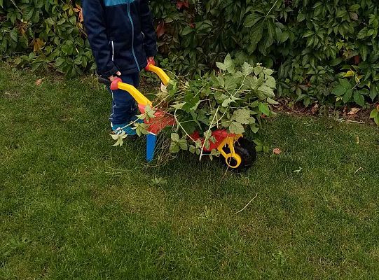 GR II Fotorelacja z pracy w domku