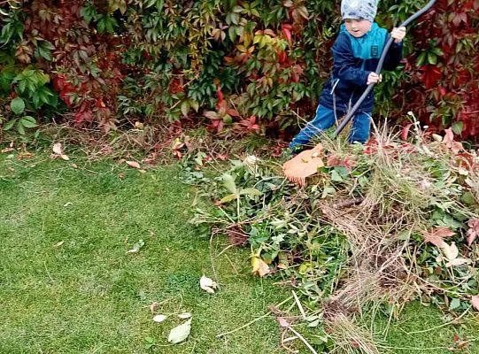 GR II Fotorelacja z pracy w domku