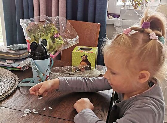 Gr III Fotorelacja z pracy w domu