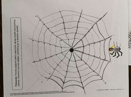 Gr III Fotorelacja z pracy w domu