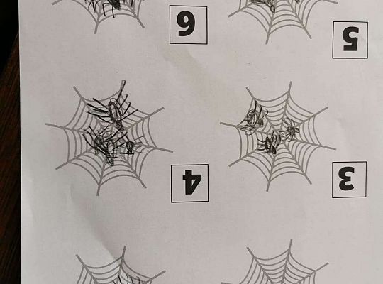 Gr III Fotorelacja z pracy w domu