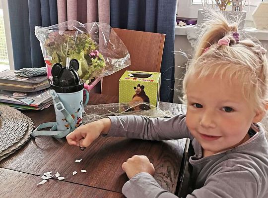 Gr III Fotorelacja z pracy w domu