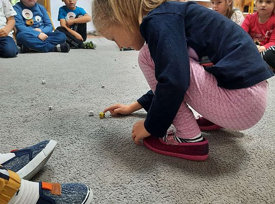 Gr III Dzień Chłopaka