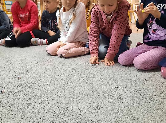 Gr III Dzień Chłopaka