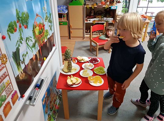 Gr. III Robimy sok warzywno- owocowy