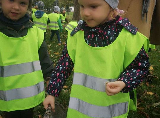 GR II Wyjście do parku