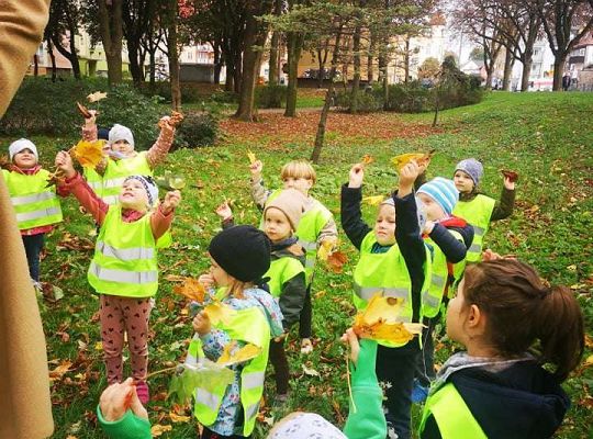 GR II Wyjście do parku