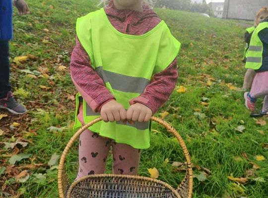 GR II Wyjście do parku