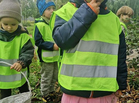 GR II Wyjście do parku