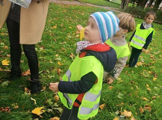 GR II Wyjście do parku