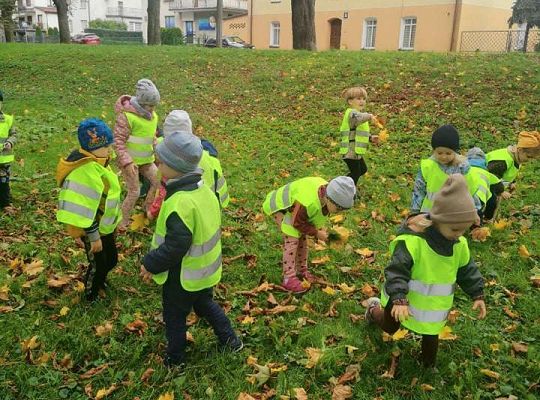 GR II Wyjście do parku