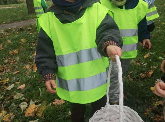 GR II Wyjście do parku