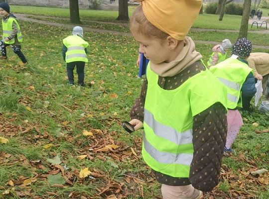 GR II Wyjście do parku