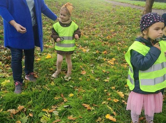 GR II Wyjście do parku