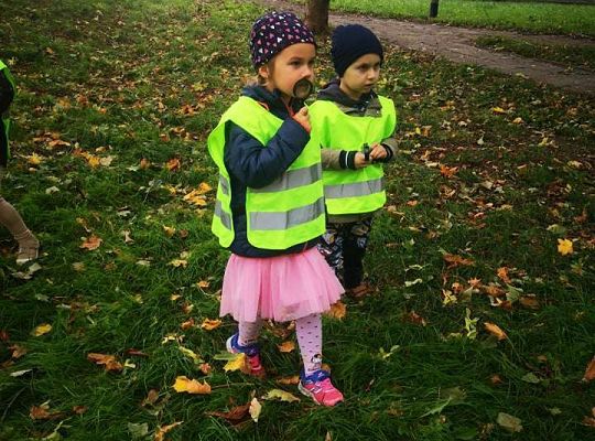 GR II Wyjście do parku