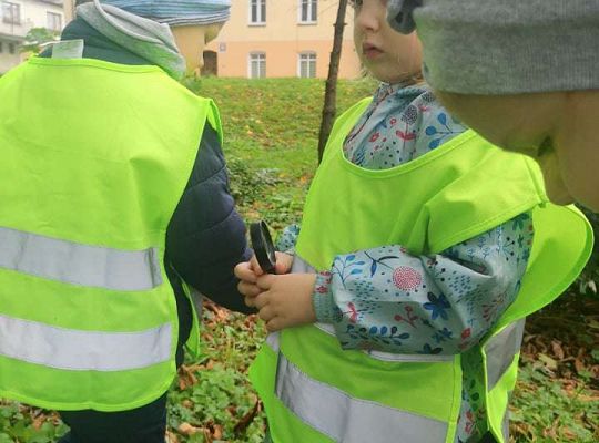 GR II Wyjście do parku