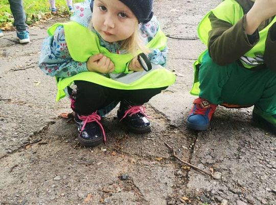 GR II Wyjście do parku