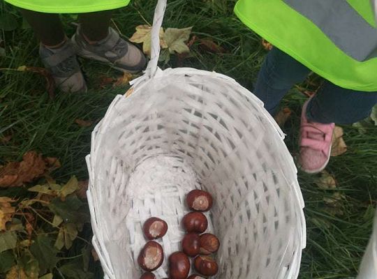 GR II Wyjście do parku