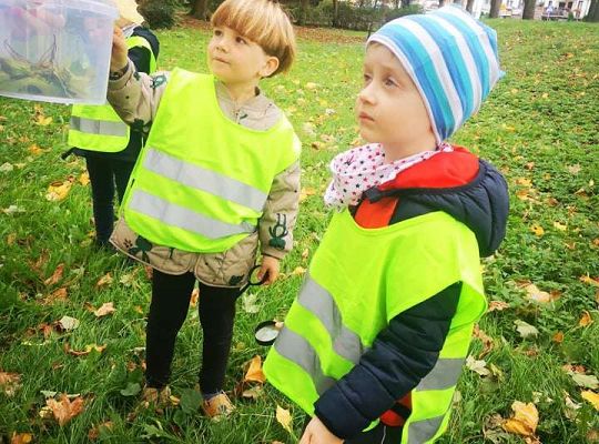 GR II Wyjście do parku