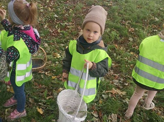 GR II Wyjście do parku