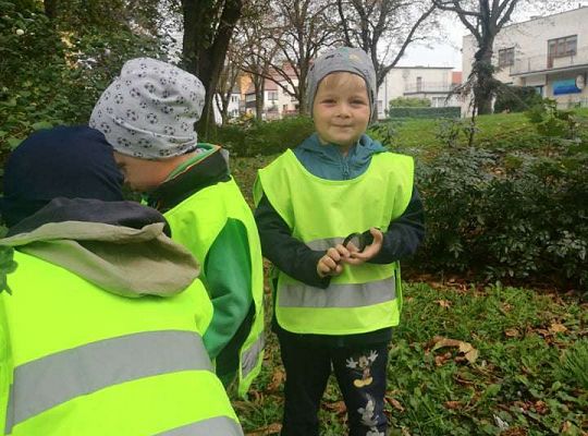 GR II Wyjście do parku