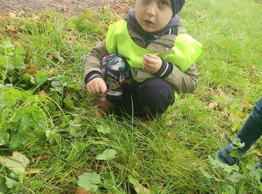 GR II Wyjście do parku