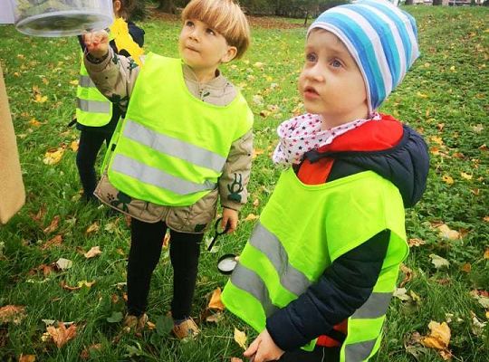 GR II Wyjście do parku