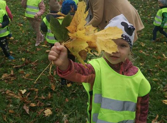 GR II Wyjście do parku