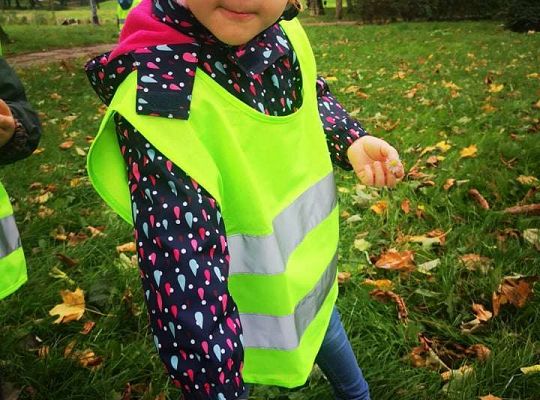 GR II Wyjście do parku