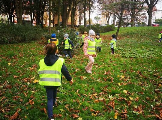 GR II Wyjście do parku