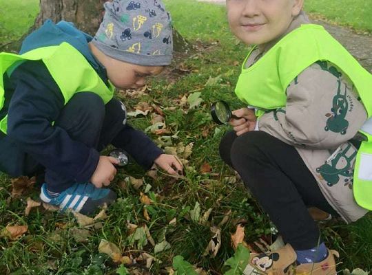 GR II Wyjście do parku