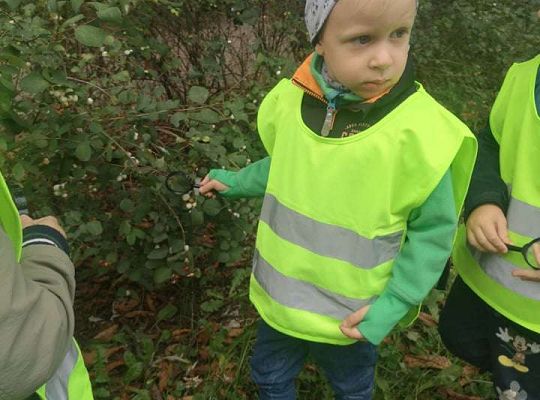 GR II Wyjście do parku