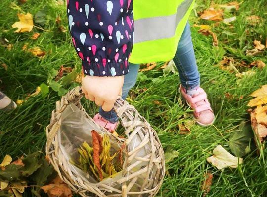 GR II Wyjście do parku