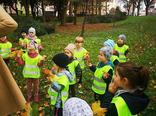 GR II Wyjście do parku