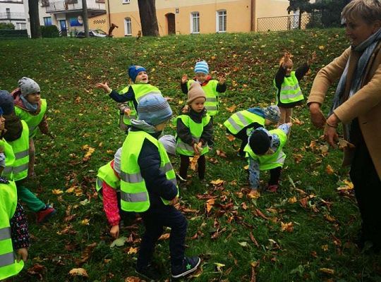GR II Wyjście do parku