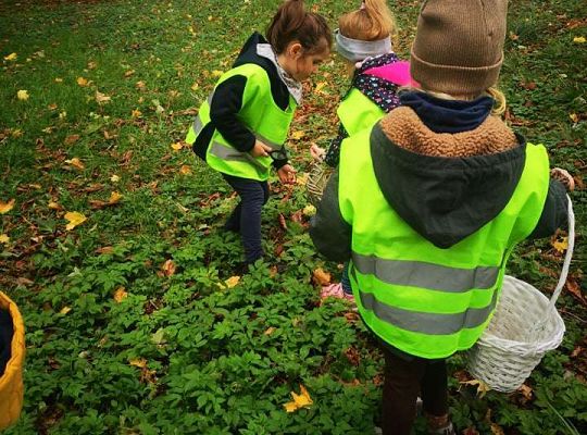 GR II Wyjście do parku