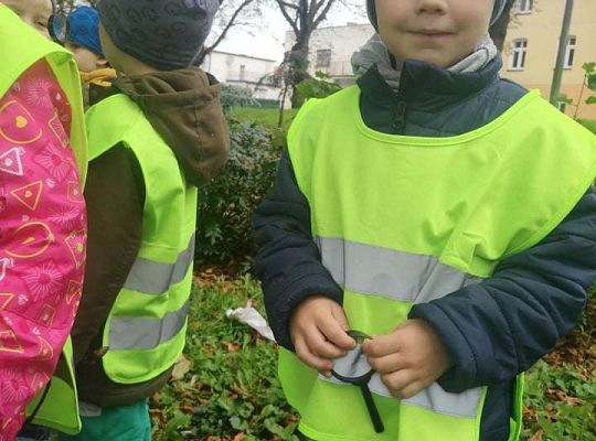 GR II Wyjście do parku