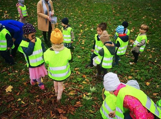 GR II Wyjście do parku