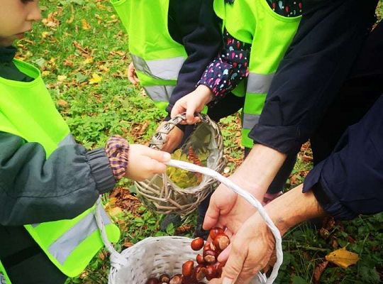 GR II Wyjście do parku