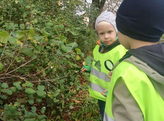 GR II Wyjście do parku
